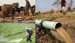 اثرات کشاورزی بر کیفیت آب و سلامت انسان