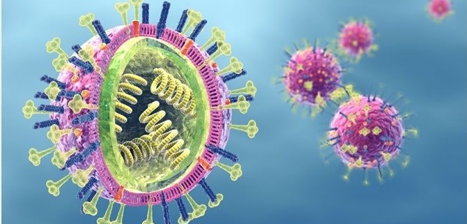 ویروس شناسی و انواع ویروس آنفلوانزا