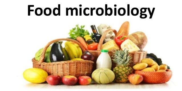 میکروبیولوژی و نگهداری از مواد غذایی