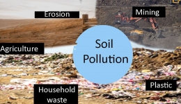آلودگی خاک و روش های تصفیه