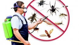 روش های شیمیایی و غیر شیمیایی مبارزه با حشرات و جوندگان