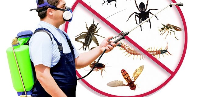 روش های شیمیایی و غیر شیمیایی مبارزه با حشرات و جوندگان