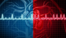 اختلال ریتم قلب (اصول الکتروفیزیولوژی، برادی آریتمی ها و تاکی آریتمی ها)