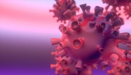 عوامل تعیین کننده رعایت دستورالعمل های بهداشتی مرتبط با کرونا ویروس بر اساس فرآیند تحلیل شبکه