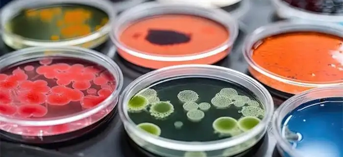 آزمایشگاه میکروب شناسی مواد غذایی