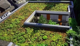 نقش باغ بام ها در بهبود کیفیت محیط زیست شهری